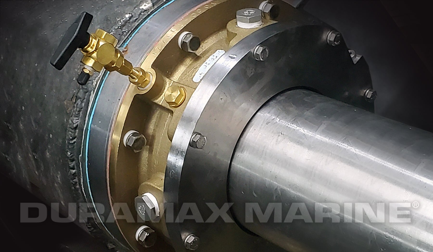 drymax img