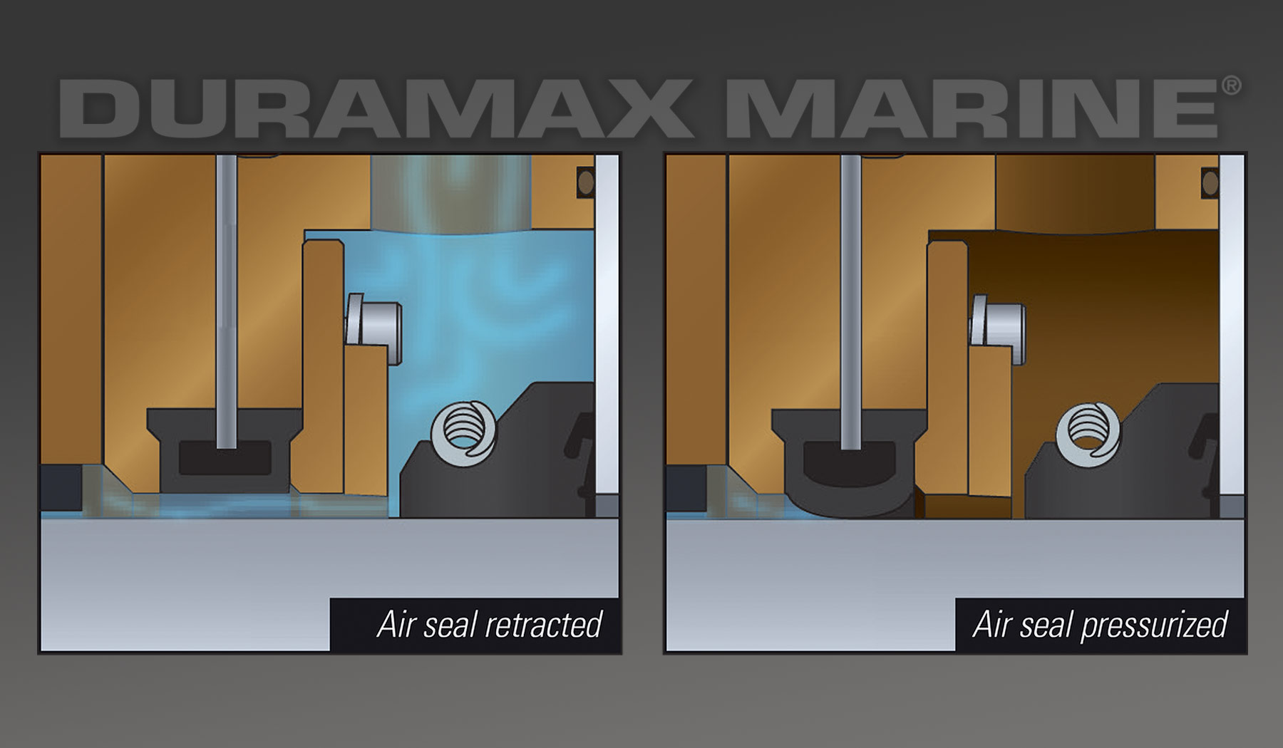 drymax img